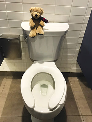 Photo of a Hope Bear sitting on a toilet